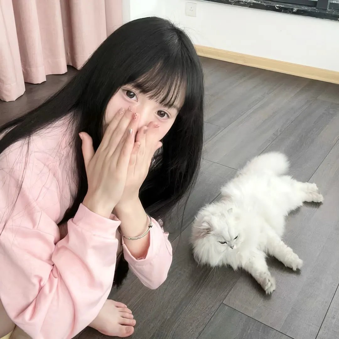 让爱飞翔
